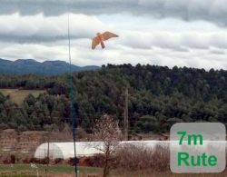 Greifvogelattrappe Set IV - Falke