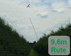 Greifvogelattrappe Set VI - Falke